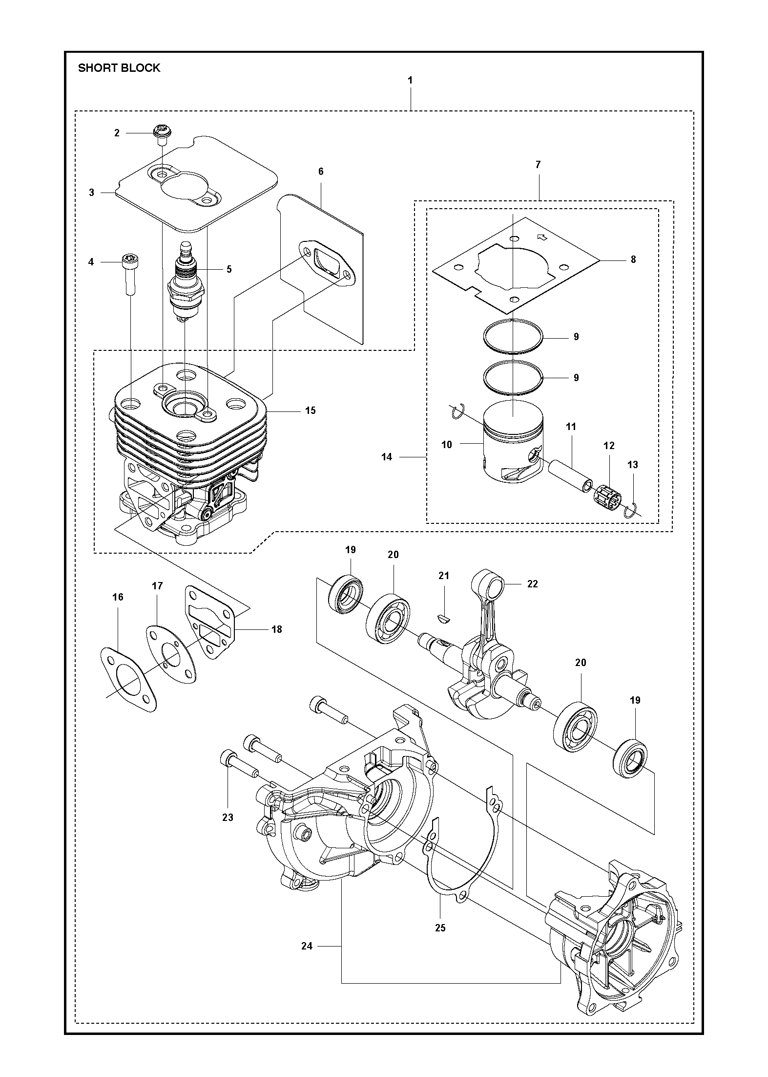 Despiece de MOTOR ALIGERADO — Podadora de altura 525PT5S