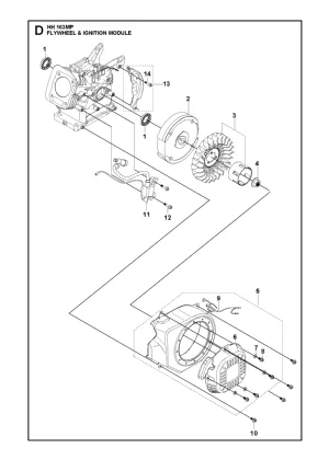 FLYWHEEL AND IGNITION ASSY