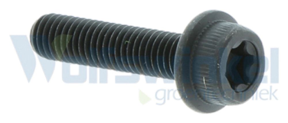 Tornillo de cilindro