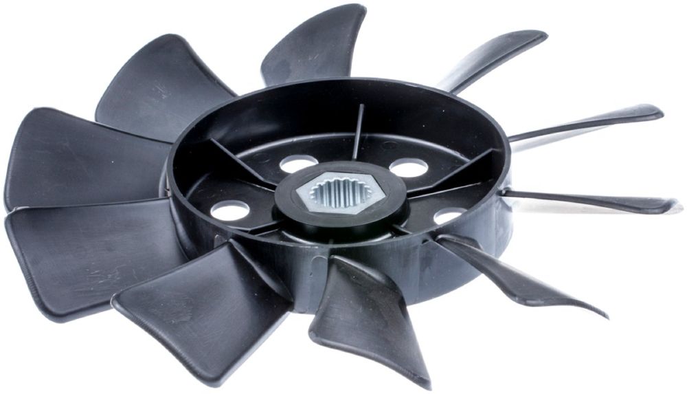 Fan