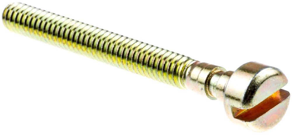 Screw