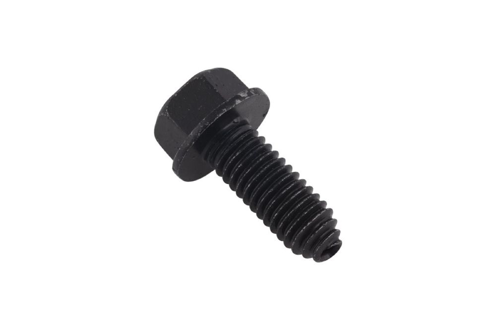 Screw